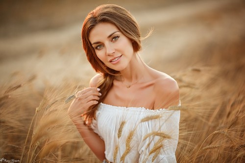 Главная