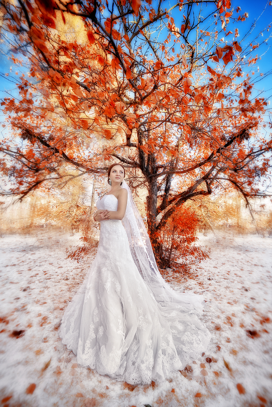 Favorites - Wedding / Свадебное фото - Самые яркие мгновения вашей жизни достойны самых лучших фотографий. Ольга Климахина, профессиональный свадебный и семейный фотограф, рада запечатлеть самые восхитительные моменты, чтобы сохранить их на будущее для вас и ваших детей - такими же прекрасными и живыми, как в реальности.