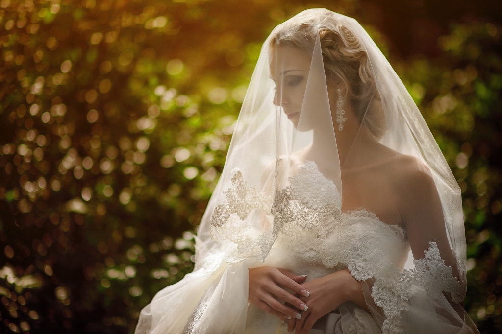 Favorites - Wedding / Свадебное фото - Самые яркие мгновения вашей жизни достойны самых лучших фотографий. Ольга Климахина, профессиональный свадебный и семейный фотограф, рада запечатлеть самые восхитительные моменты, чтобы сохранить их на будущее для вас и ваших детей - такими же прекрасными и живыми, как в реальности.