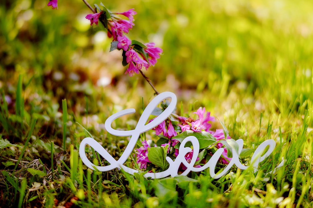 Favorites - Engagement / Love Story 