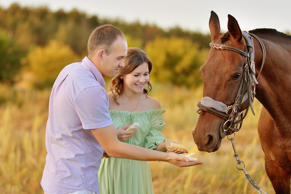 Favorites - Engagement / Love Story 