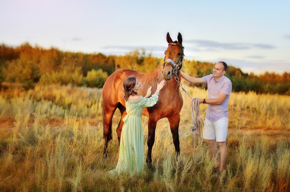 Favorites - Engagement / Love Story 