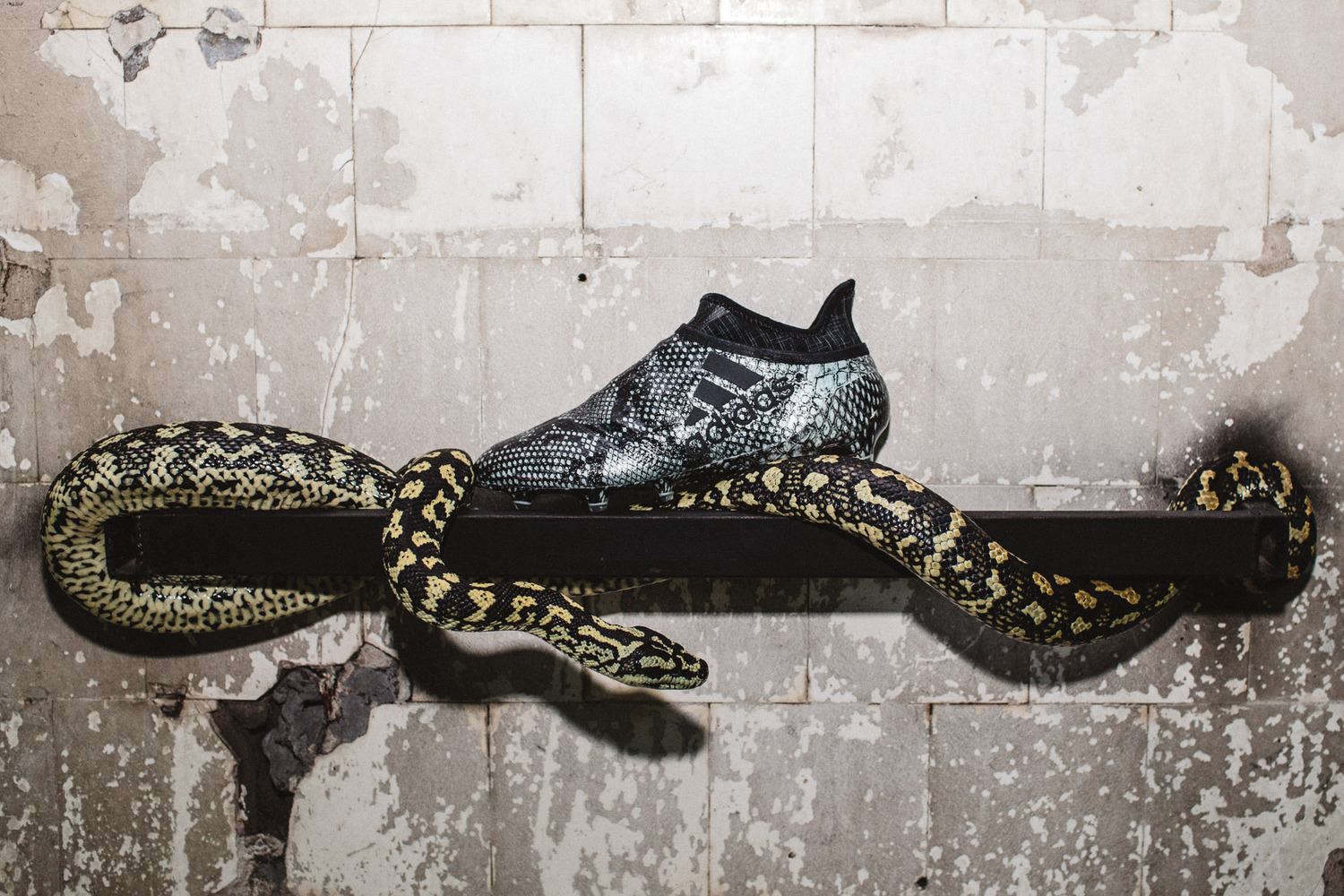 Сотрудничество с adidas - 60
