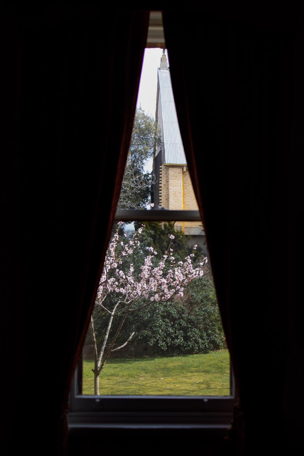 PORTFOLIO - TOM & BAYLEY/ MELBOURNE