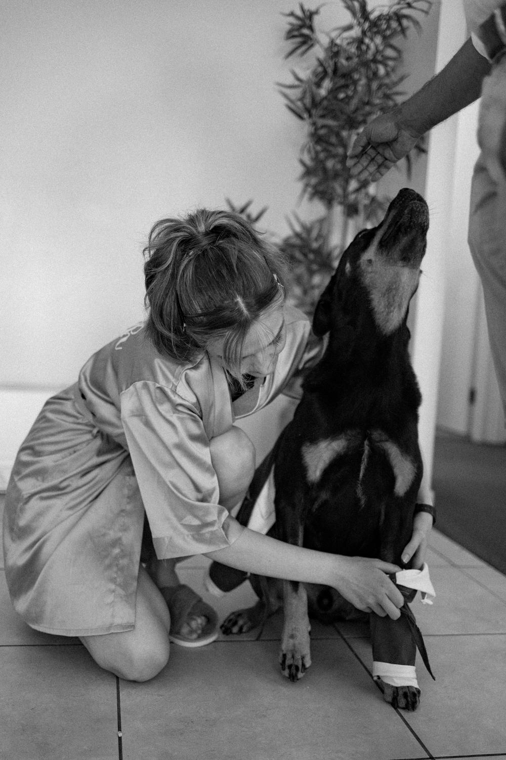 PORTFOLIO - EMMA & STEPHEN - wedding photographer, Sydney wedding photographer, worldwide wedding photographer, Toronto wedding photographer, Canada photographer, фотограф новороссийск, свадьба новороссийск, фотограф краснодар, фотограф москва, фотограф сочи, свадьба ноовроссийск, сваддебный фотограф новороссийск, свадебный фотограф москва