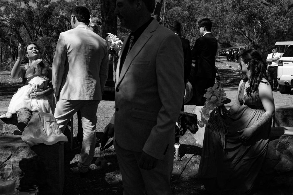 PORTFOLIO - EMMA & STEPHEN - wedding photographer, Sydney wedding photographer, worldwide wedding photographer, Toronto wedding photographer, Canada photographer, фотограф новороссийск, свадьба новороссийск, фотограф краснодар, фотограф москва, фотограф сочи, свадьба ноовроссийск, сваддебный фотограф новороссийск, свадебный фотограф москва