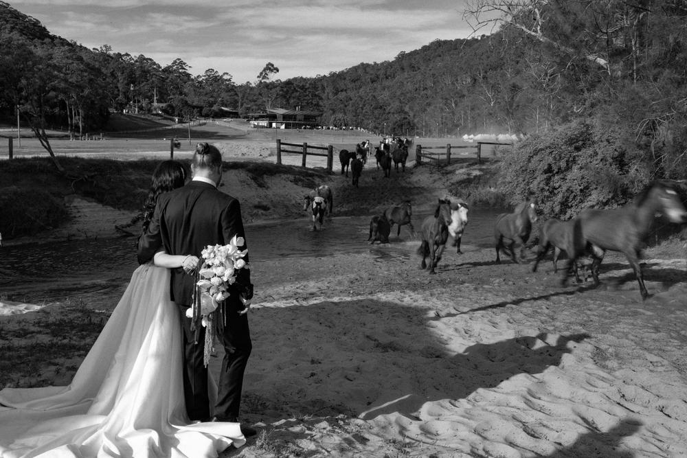 PORTFOLIO - EMMA & STEPHEN - wedding photographer, Sydney wedding photographer, worldwide wedding photographer, Toronto wedding photographer, Canada photographer, фотограф новороссийск, свадьба новороссийск, фотограф краснодар, фотограф москва, фотограф сочи, свадьба ноовроссийск, сваддебный фотограф новороссийск, свадебный фотограф москва