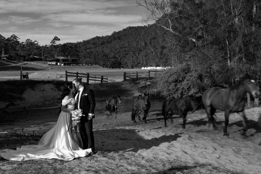 PORTFOLIO - EMMA & STEPHEN - wedding photographer, Sydney wedding photographer, worldwide wedding photographer, Toronto wedding photographer, Canada photographer, фотограф новороссийск, свадьба новороссийск, фотограф краснодар, фотограф москва, фотограф сочи, свадьба ноовроссийск, сваддебный фотограф новороссийск, свадебный фотограф москва