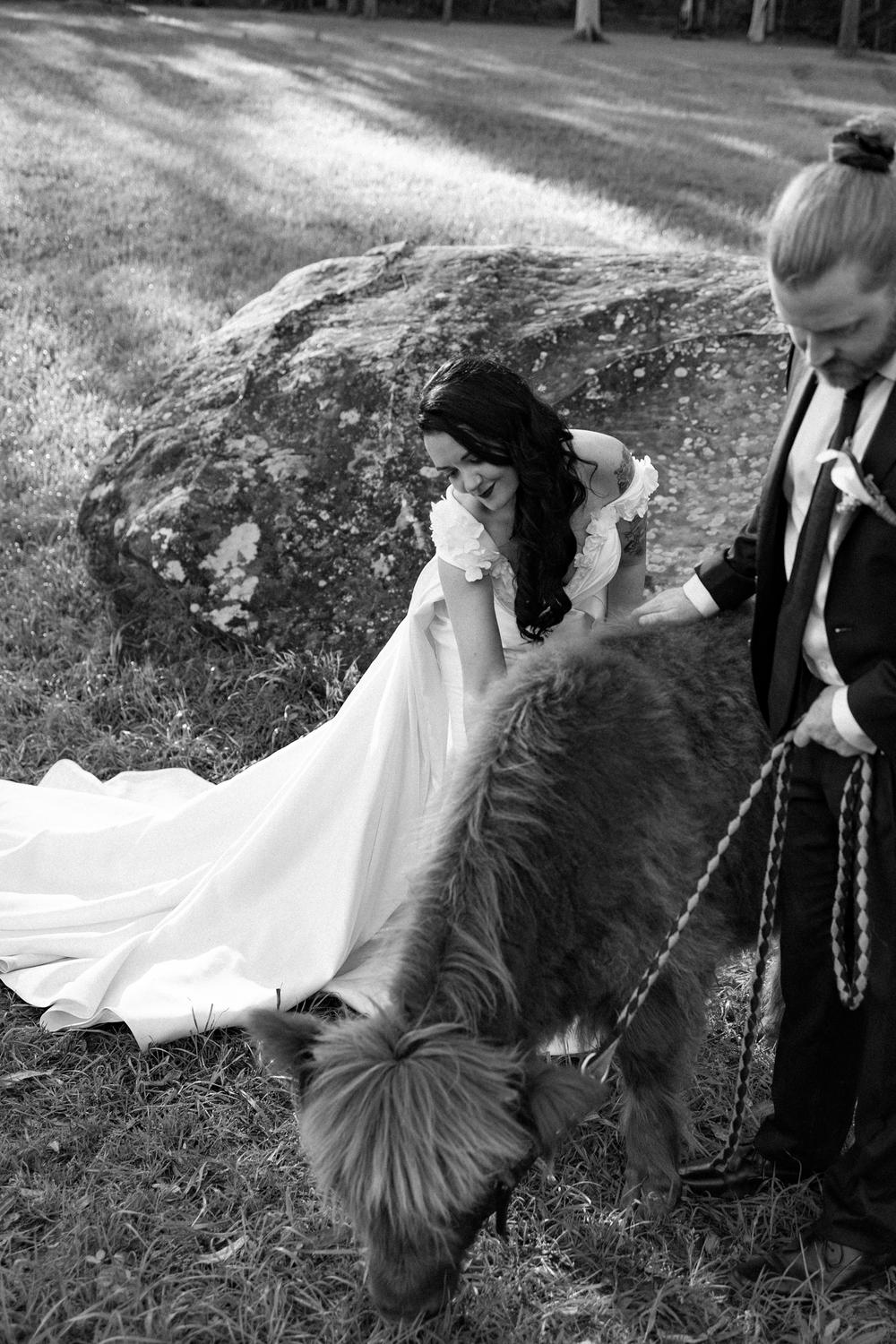 PORTFOLIO - EMMA & STEPHEN - wedding photographer, Sydney wedding photographer, worldwide wedding photographer, Toronto wedding photographer, Canada photographer, фотограф новороссийск, свадьба новороссийск, фотограф краснодар, фотограф москва, фотограф сочи, свадьба ноовроссийск, сваддебный фотограф новороссийск, свадебный фотограф москва