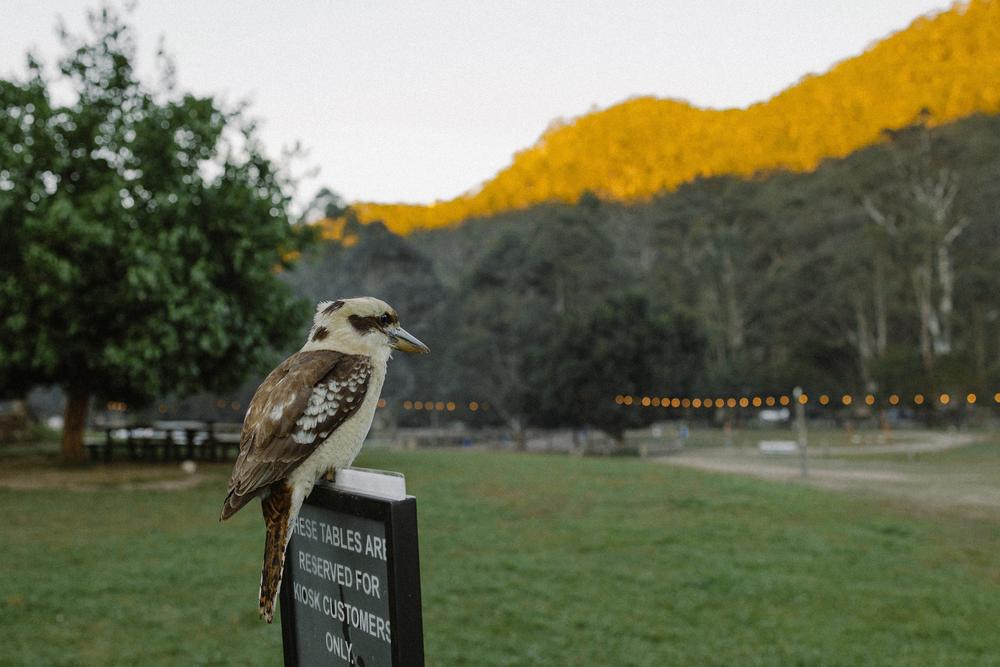 PORTFOLIO - EMMA & STEPHEN - wedding photographer, Sydney wedding photographer, worldwide wedding photographer, Toronto wedding photographer, Canada photographer, фотограф новороссийск, свадьба новороссийск, фотограф краснодар, фотограф москва, фотограф сочи, свадьба ноовроссийск, сваддебный фотограф новороссийск, свадебный фотограф москва
