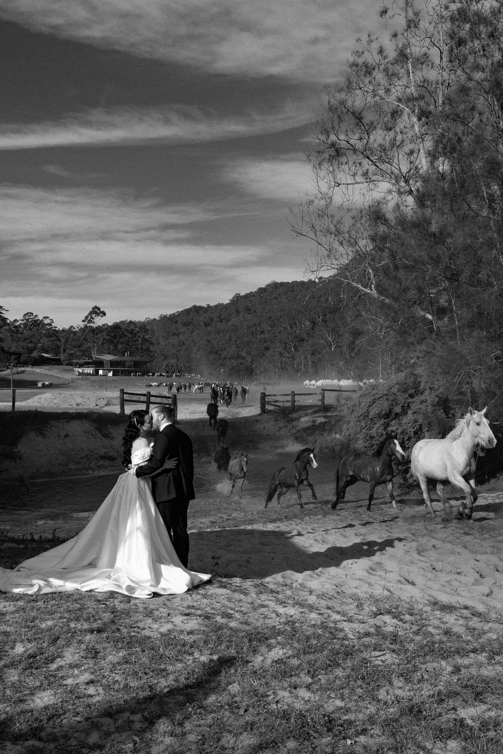 PORTFOLIO - EMMA & STEPHEN - wedding photographer, Sydney wedding photographer, worldwide wedding photographer, Toronto wedding photographer, Canada photographer, фотограф новороссийск, свадьба новороссийск, фотограф краснодар, фотограф москва, фотограф сочи, свадьба ноовроссийск, сваддебный фотограф новороссийск, свадебный фотограф москва