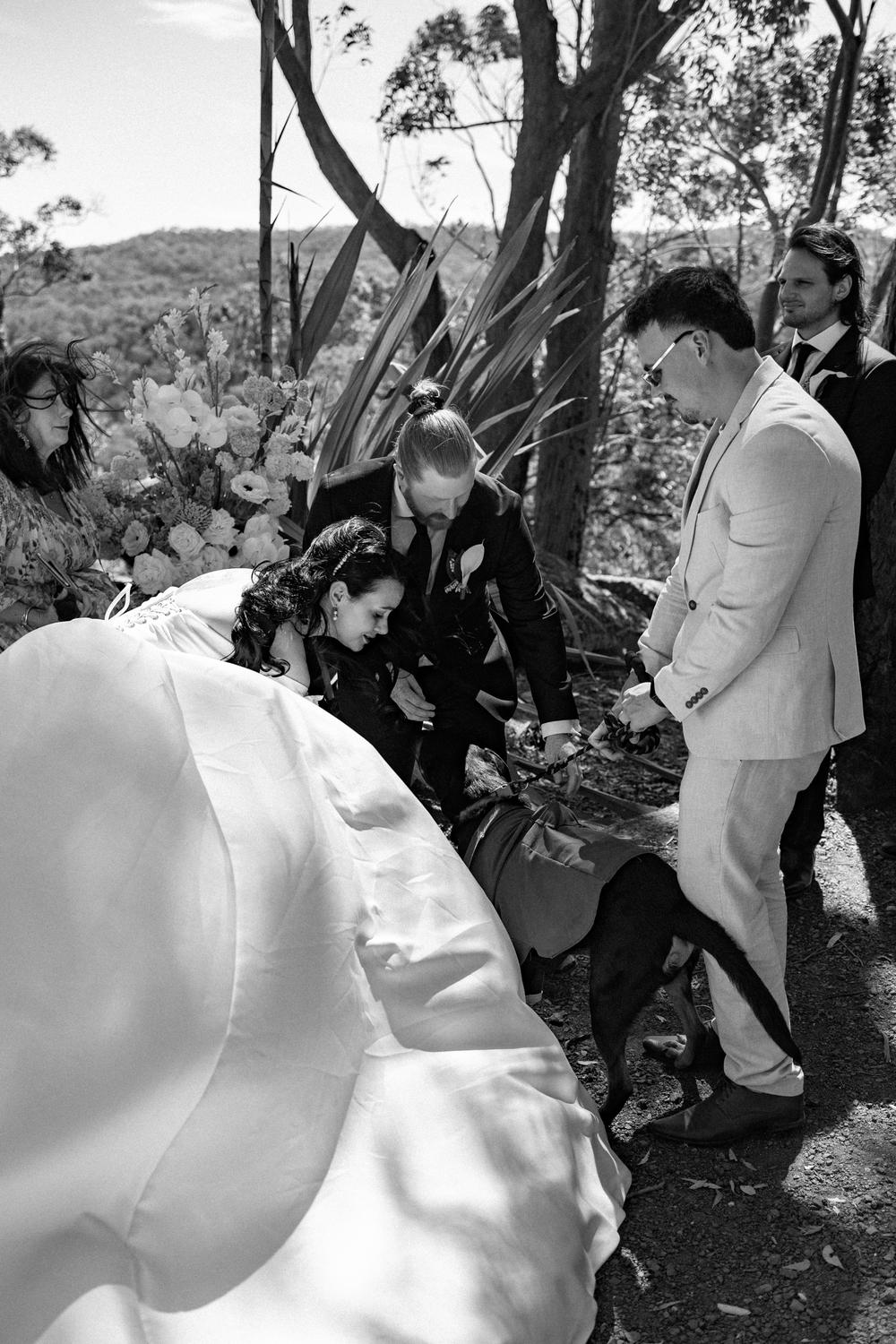 PORTFOLIO - EMMA & STEPHEN - wedding photographer, Sydney wedding photographer, worldwide wedding photographer, Toronto wedding photographer, Canada photographer, фотограф новороссийск, свадьба новороссийск, фотограф краснодар, фотограф москва, фотограф сочи, свадьба ноовроссийск, сваддебный фотограф новороссийск, свадебный фотограф москва