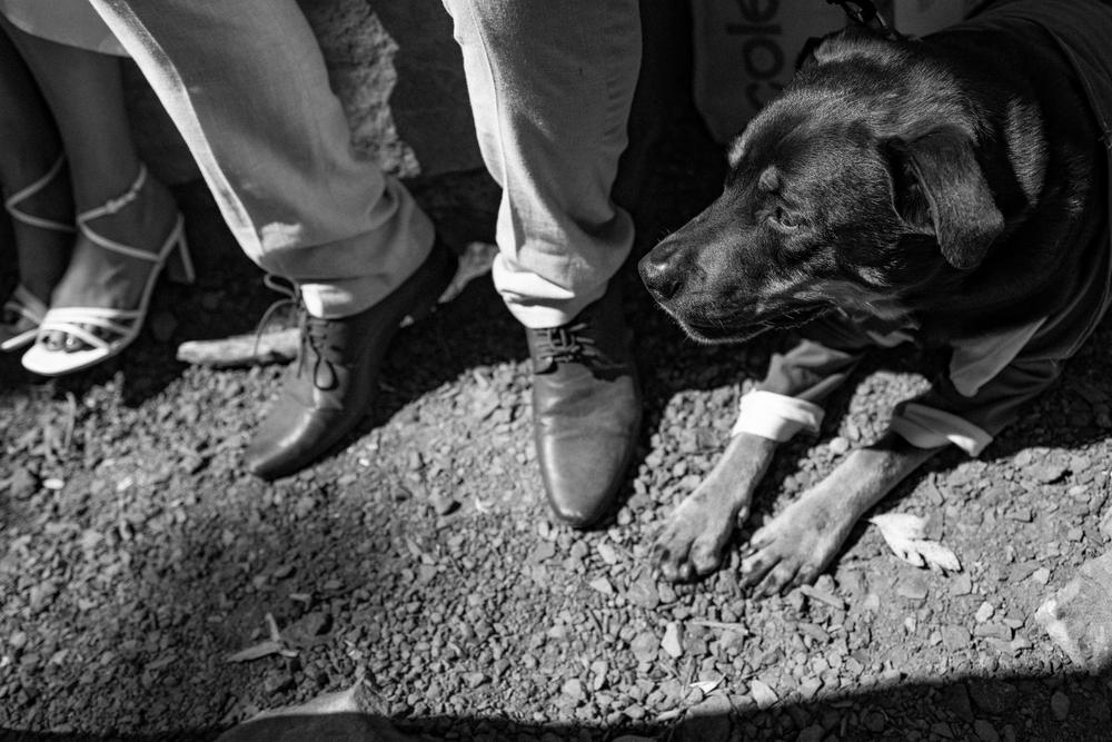 PORTFOLIO - EMMA & STEPHEN - wedding photographer, Sydney wedding photographer, worldwide wedding photographer, Toronto wedding photographer, Canada photographer, фотограф новороссийск, свадьба новороссийск, фотограф краснодар, фотограф москва, фотограф сочи, свадьба ноовроссийск, сваддебный фотограф новороссийск, свадебный фотограф москва