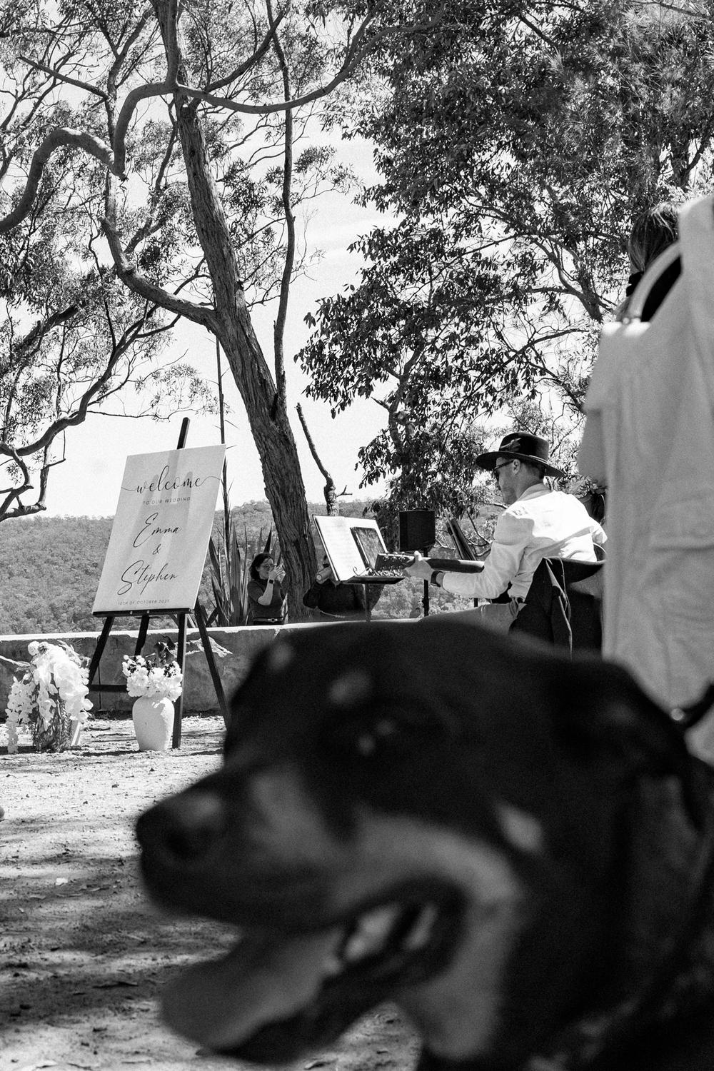 PORTFOLIO - EMMA & STEPHEN - wedding photographer, Sydney wedding photographer, worldwide wedding photographer, Toronto wedding photographer, Canada photographer, фотограф новороссийск, свадьба новороссийск, фотограф краснодар, фотограф москва, фотограф сочи, свадьба ноовроссийск, сваддебный фотограф новороссийск, свадебный фотограф москва