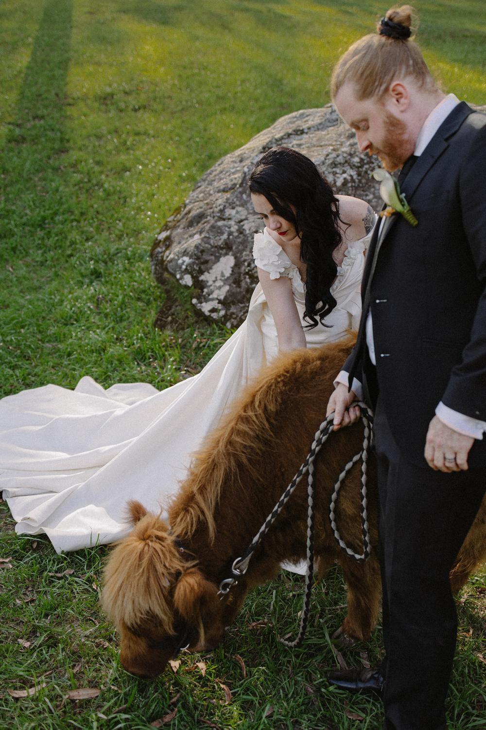 PORTFOLIO - EMMA & STEPHEN - wedding photographer, Sydney wedding photographer, worldwide wedding photographer, Toronto wedding photographer, Canada photographer, фотограф новороссийск, свадьба новороссийск, фотограф краснодар, фотограф москва, фотограф сочи, свадьба ноовроссийск, сваддебный фотограф новороссийск, свадебный фотограф москва