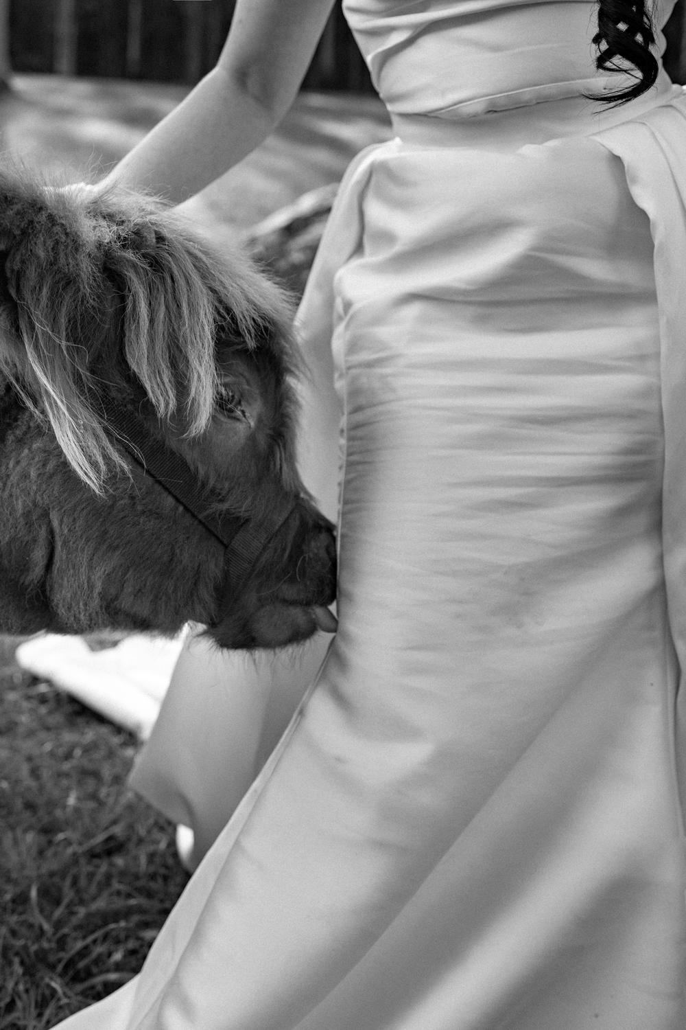 PORTFOLIO - EMMA & STEPHEN - wedding photographer, Sydney wedding photographer, worldwide wedding photographer, Toronto wedding photographer, Canada photographer, фотограф новороссийск, свадьба новороссийск, фотограф краснодар, фотограф москва, фотограф сочи, свадьба ноовроссийск, сваддебный фотограф новороссийск, свадебный фотограф москва