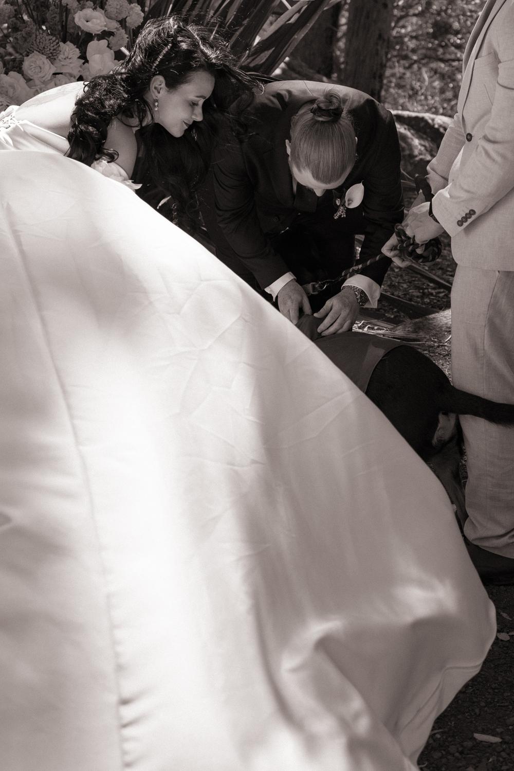 PORTFOLIO - EMMA & STEPHEN Australia - wedding photographer, Sydney wedding photographer, worldwide wedding photographer, Toronto wedding photographer, Canada photographer, фотограф новороссийск, свадьба новороссийск, фотограф краснодар, фотограф москва, фотограф сочи, свадьба ноовроссийск, сваддебный фотограф новороссийск, свадебный фотограф москва