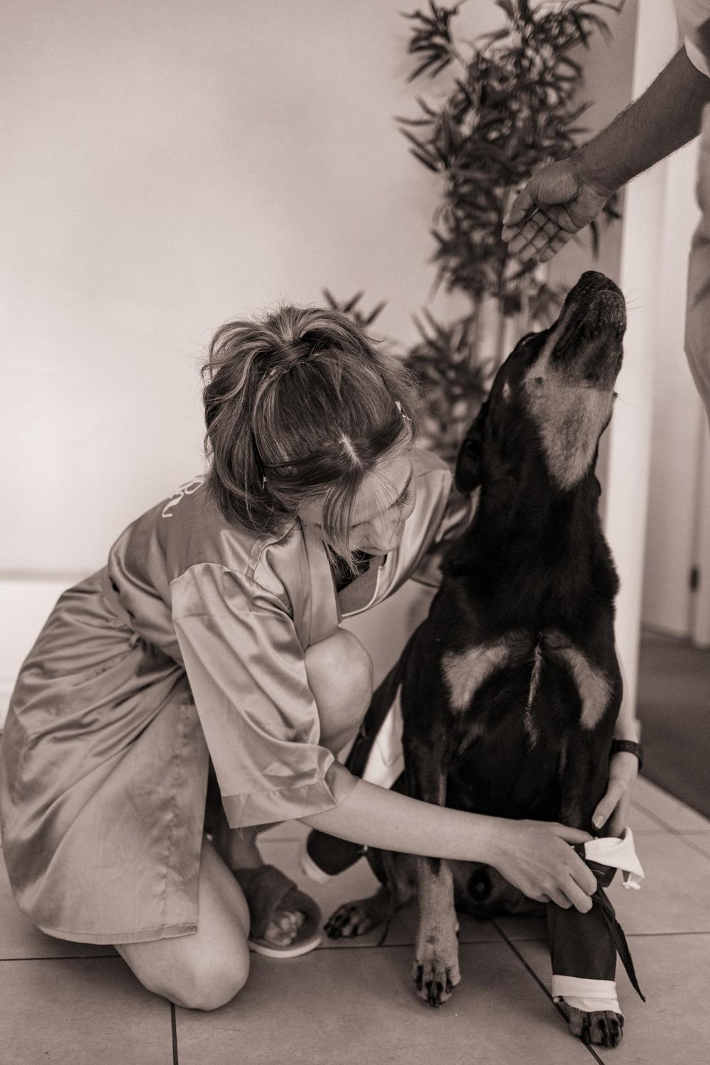 PORTFOLIO - EMMA & STEPHEN Australia - wedding photographer, Sydney wedding photographer, worldwide wedding photographer, Toronto wedding photographer, Canada photographer, фотограф новороссийск, свадьба новороссийск, фотограф краснодар, фотограф москва, фотограф сочи, свадьба ноовроссийск, сваддебный фотограф новороссийск, свадебный фотограф москва