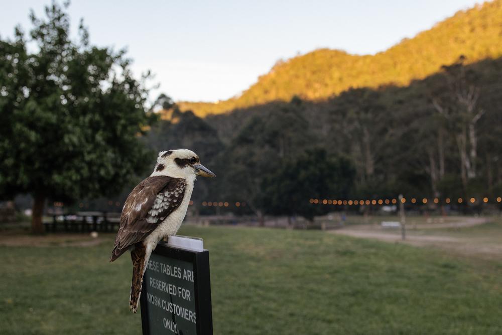 PORTFOLIO - EMMA & STEPHEN Australia - wedding photographer, Sydney wedding photographer, worldwide wedding photographer, Toronto wedding photographer, Canada photographer, фотограф новороссийск, свадьба новороссийск, фотограф краснодар, фотограф москва, фотограф сочи, свадьба ноовроссийск, сваддебный фотограф новороссийск, свадебный фотограф москва