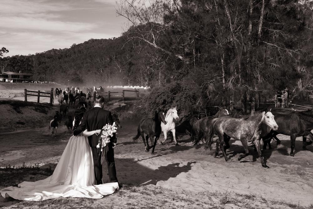 PORTFOLIO - EMMA & STEPHEN Australia - wedding photographer, Sydney wedding photographer, worldwide wedding photographer, Toronto wedding photographer, Canada photographer, фотограф новороссийск, свадьба новороссийск, фотограф краснодар, фотограф москва, фотограф сочи, свадьба ноовроссийск, сваддебный фотограф новороссийск, свадебный фотограф москва