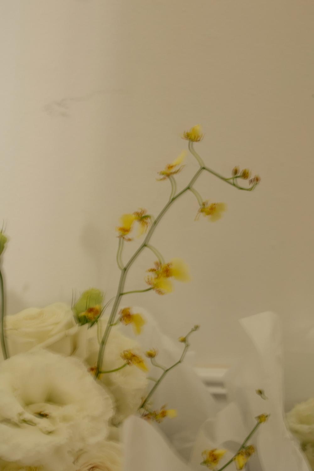 PORTFOLIO - EMMA & STEPHEN Australia - wedding photographer, Sydney wedding photographer, worldwide wedding photographer, Toronto wedding photographer, Canada photographer, фотограф новороссийск, свадьба новороссийск, фотограф краснодар, фотограф москва, фотограф сочи, свадьба ноовроссийск, сваддебный фотограф новороссийск, свадебный фотограф москва