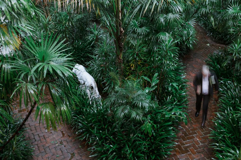 PORTFOLIO - Paola and John/ Mexico - Wedding photographer Mexico,wedding photographer Canada,wedding photographer Toronto,wedding photographer Cancun,wedding photographer Tulum, wedding photographer Playa del Carmen,wedding photographer Puerto Vallarta, wedding photographer Buenos Aires