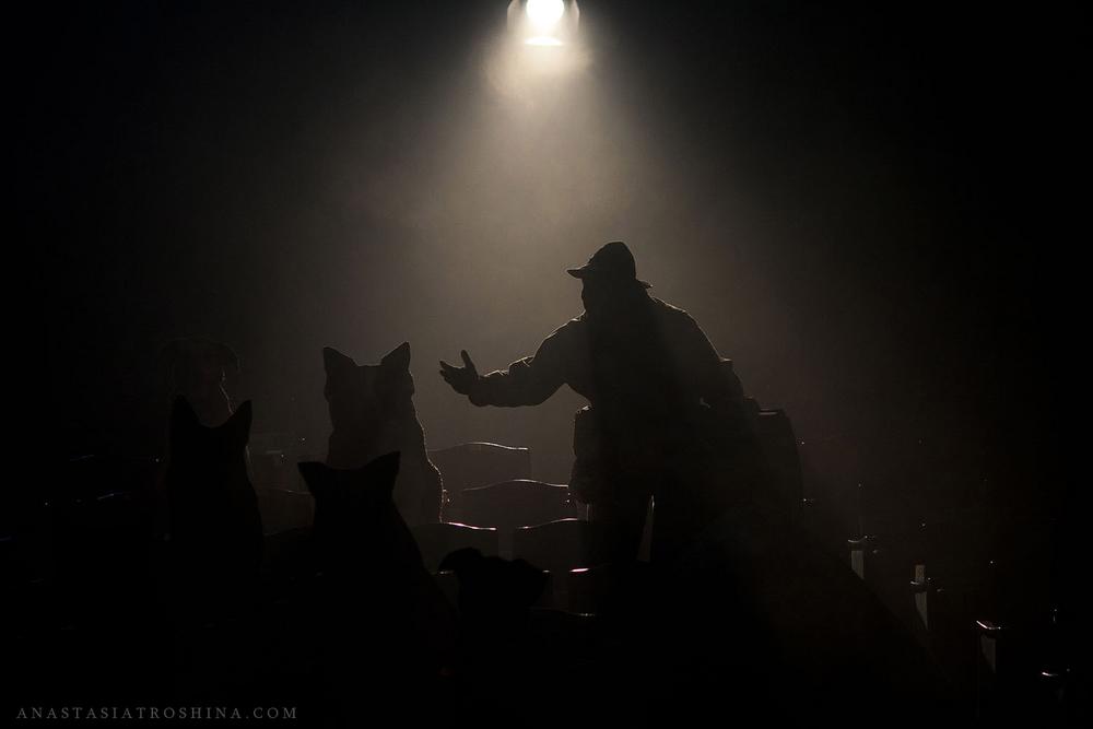 СНЫ МОЕГО ОТЦА