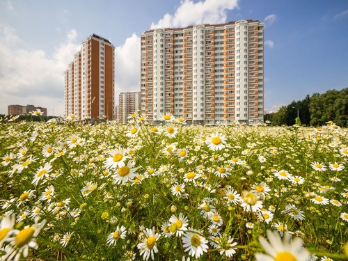 Архитектура