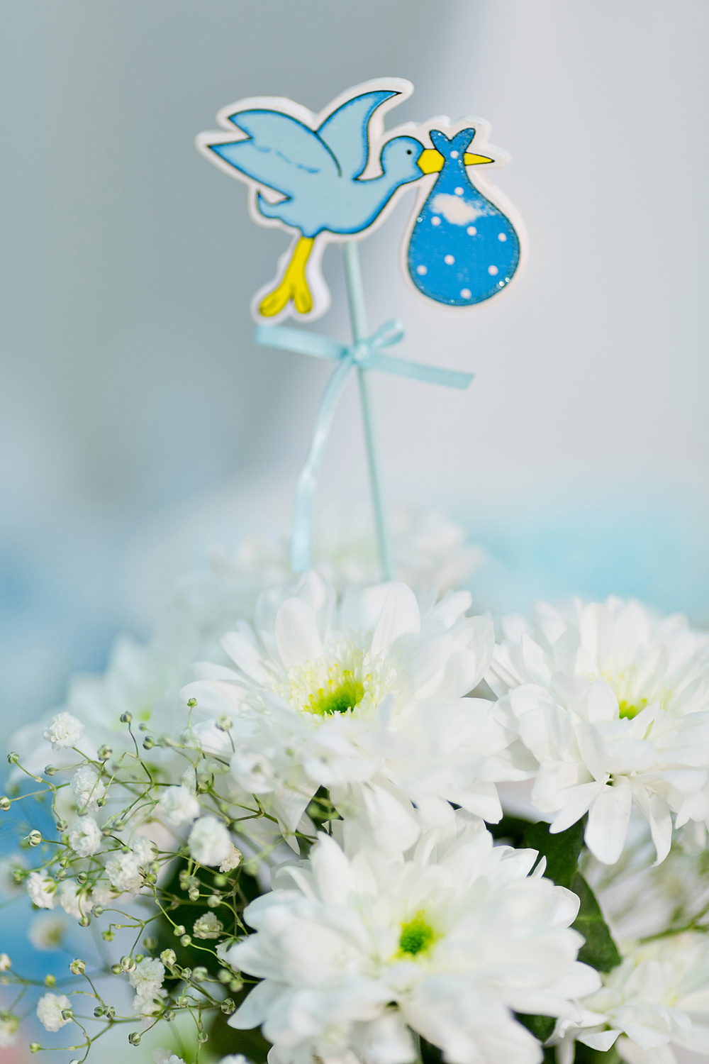 ПРАЗДНИКИ - BABY SHOWER - первая фотостудия для новорожденных в Курскe, фотостудия для новорожденных Алены Пономаревой, newborn_kursk, профессиональный фотограф новорожденных, первая фотосессия, лучший фотограф новорожденных в Курске
