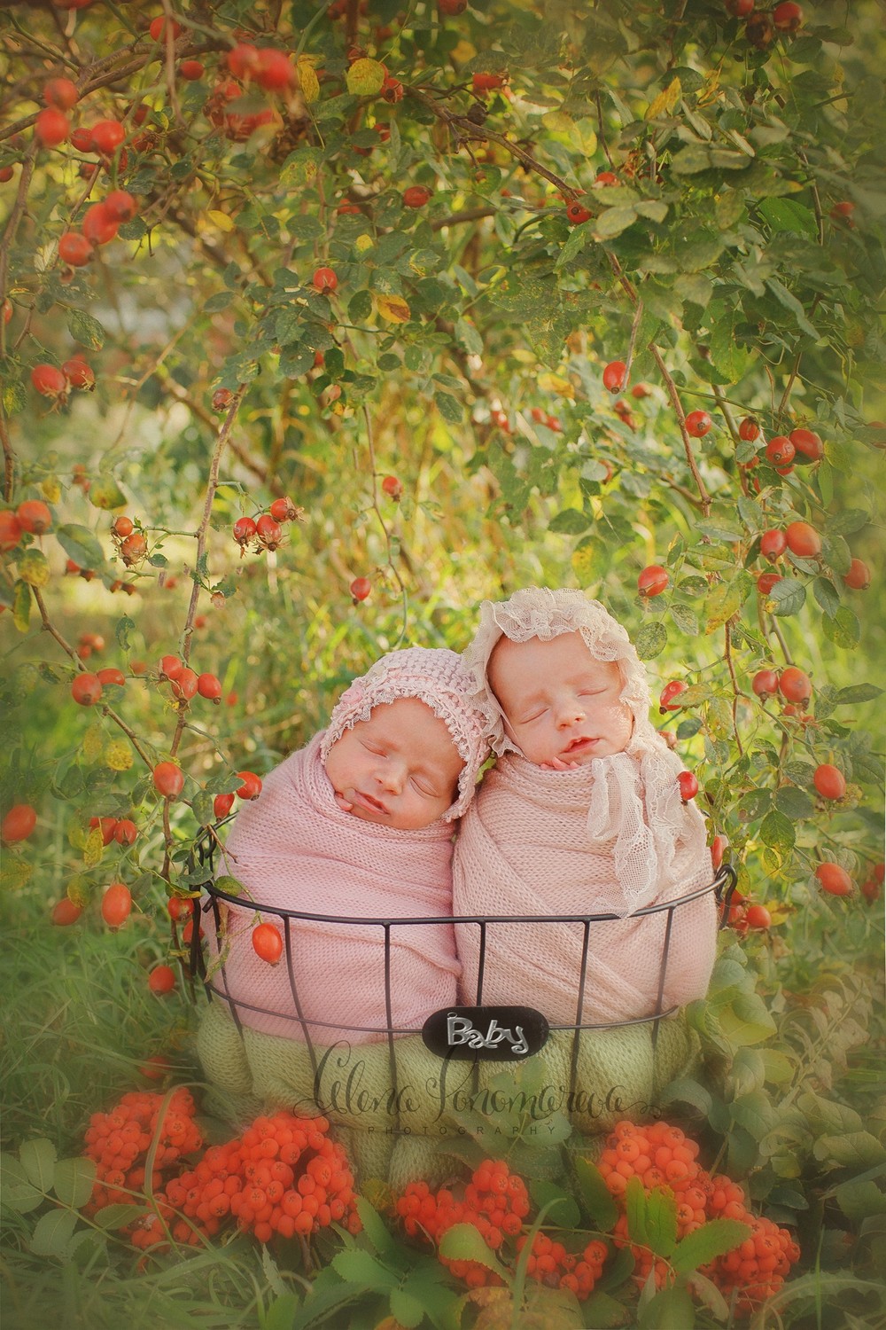 ПОРТФОЛИО - НОВОРОЖДЕННЫЕ - фотограф новорожденных в курске, новорожденные, фотограф новорожденных в курске, новорожденный, роддом, фотограф новорожденных, младенцыменьше месяца, newborn_kursk, первая фотостудия для новорожденных в Курскe, фотостудия для новорожденных Алены Пономаревой, newborn_kursk, профессиональный фотограф новорожденных, первая фотосессия, лучший фотограф новорожденных в Курске, newborn