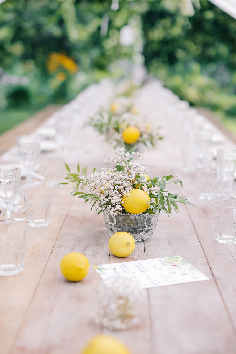 Иван и Алена