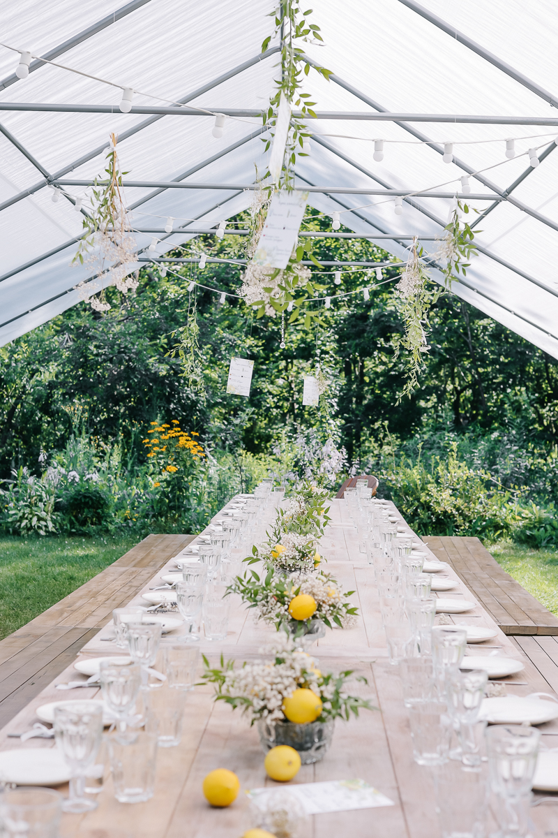 Иван и Алена