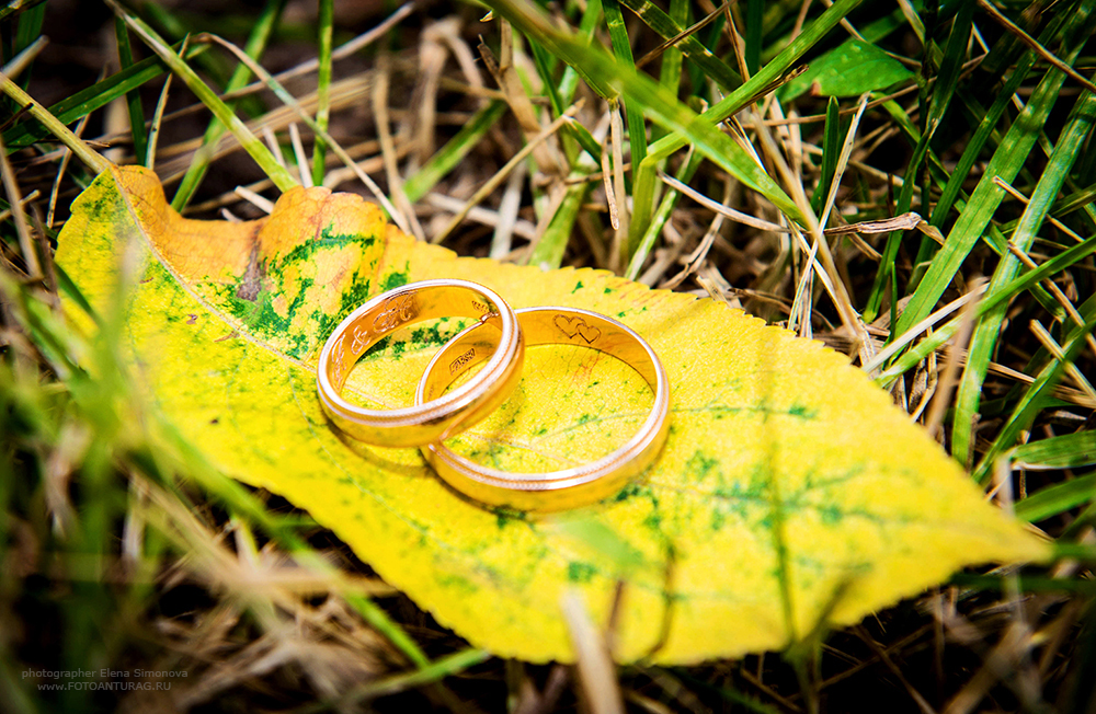 портфолио  - Свадебное портфолио_2012г-2020г - Портфолио фотографа, Свадебная фотосессия, детская фотосессия, свадьба, фото, фотосъемка