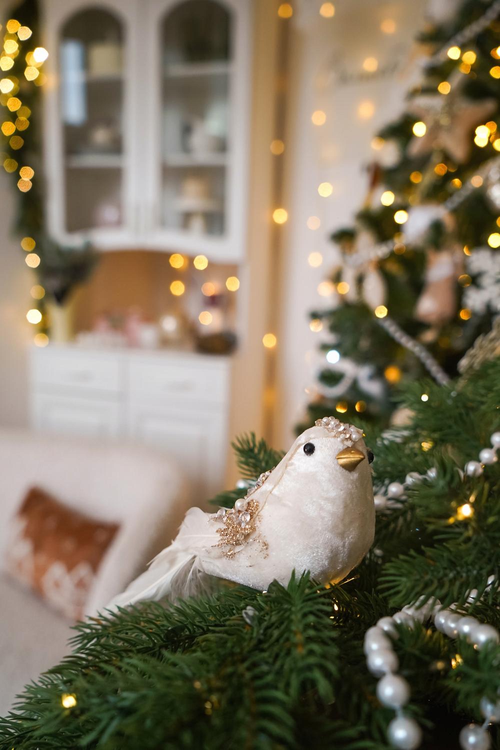 залы - Зал FAMILY - клик на превью - переход к просмотру 