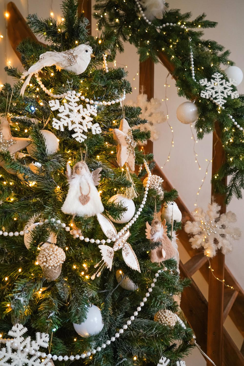 залы - Зал FAMILY - клик на превью - переход к просмотру 