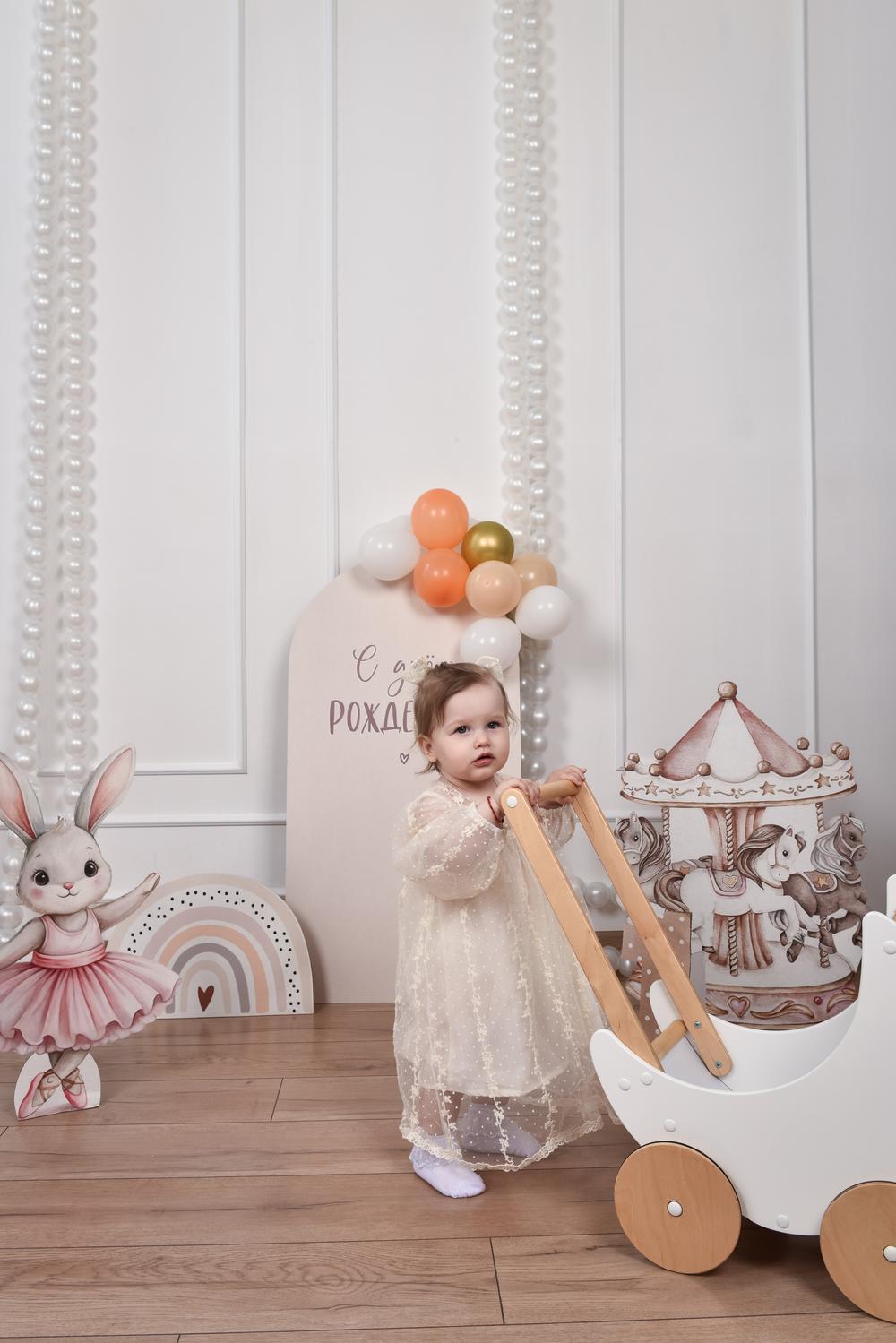 портфолио  - Фотосессия 1 годик_с декором 
