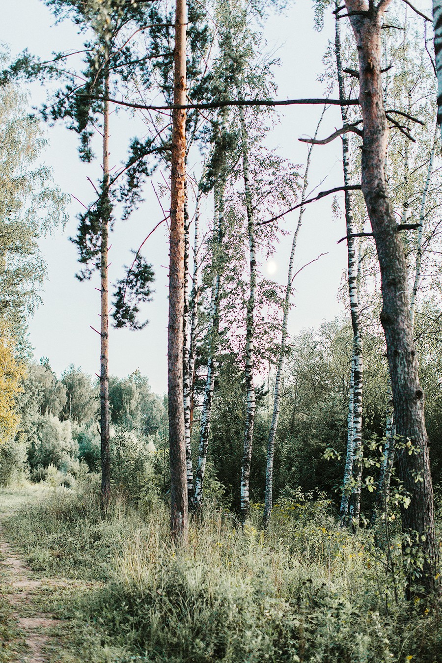 Оля