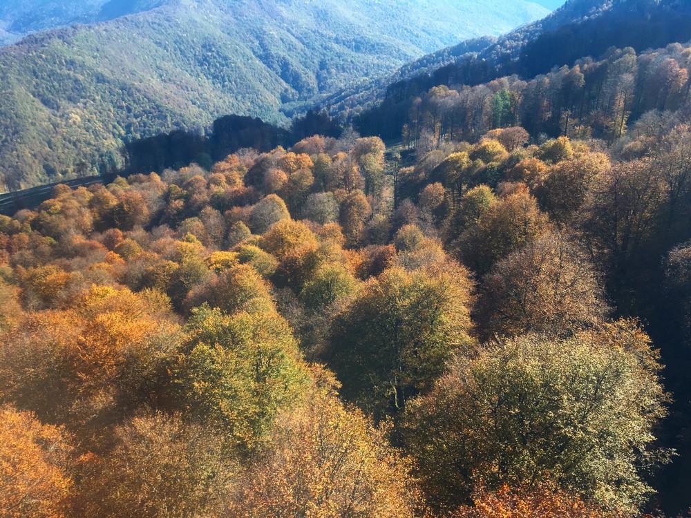 это не я, это ты так видишь (iphone)