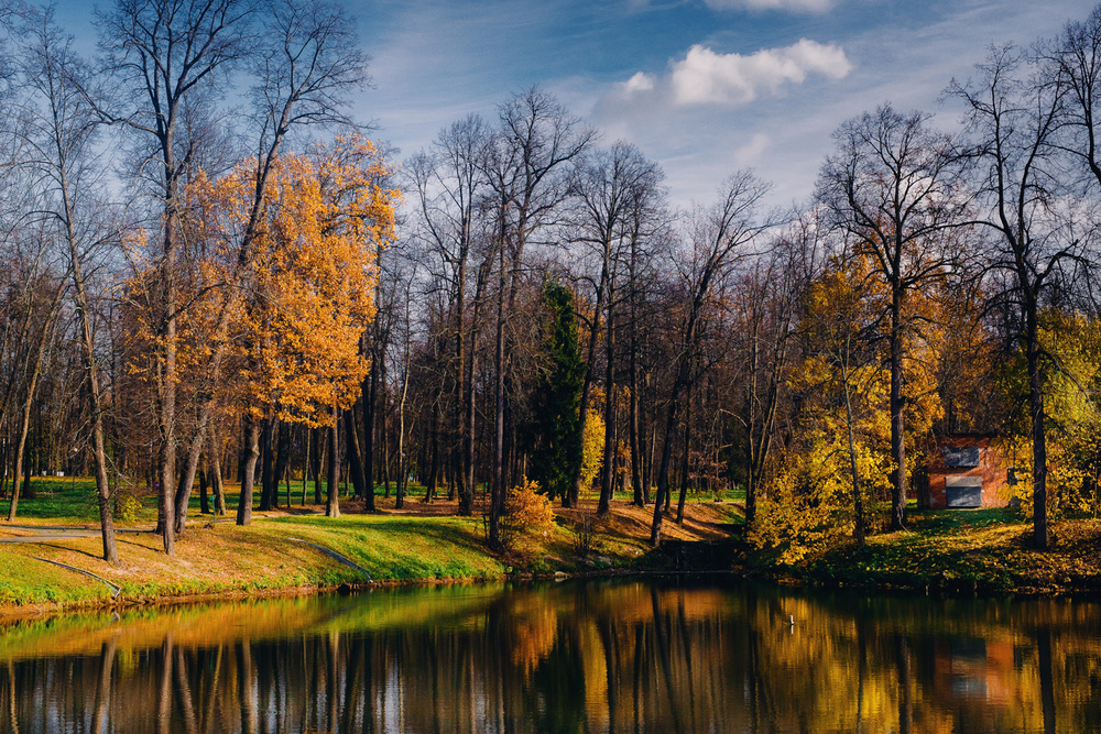 Марфино