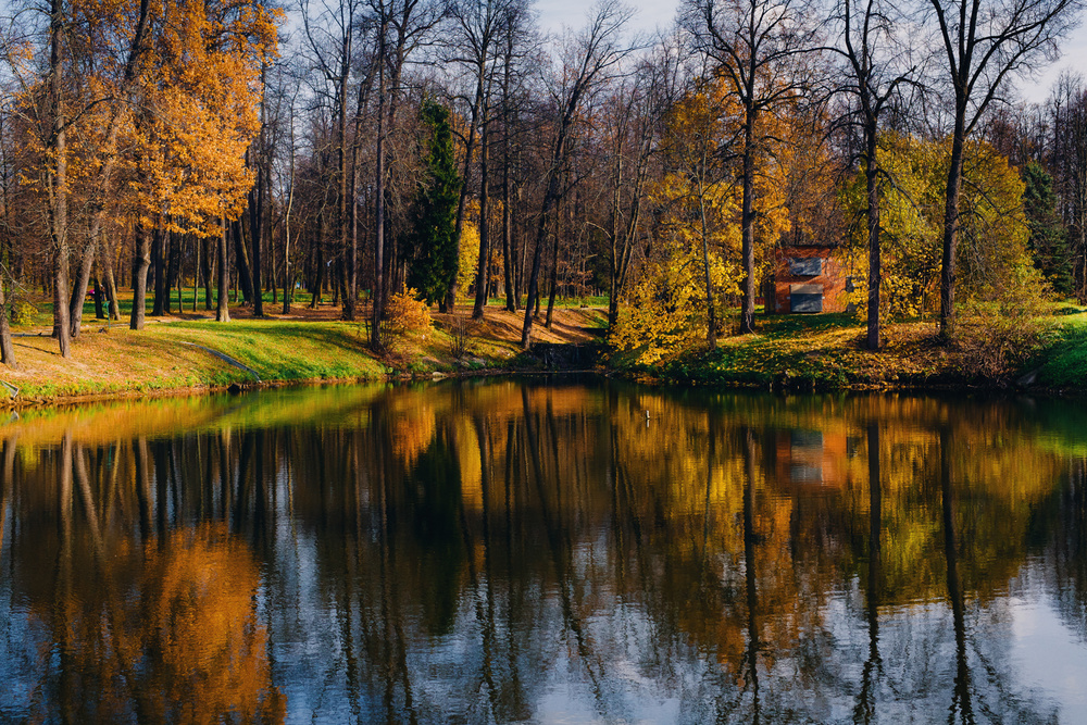 Марфино