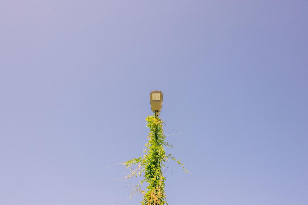 Италия