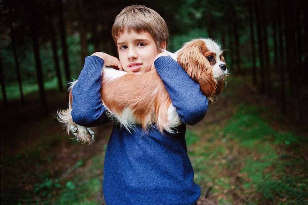 Dogs