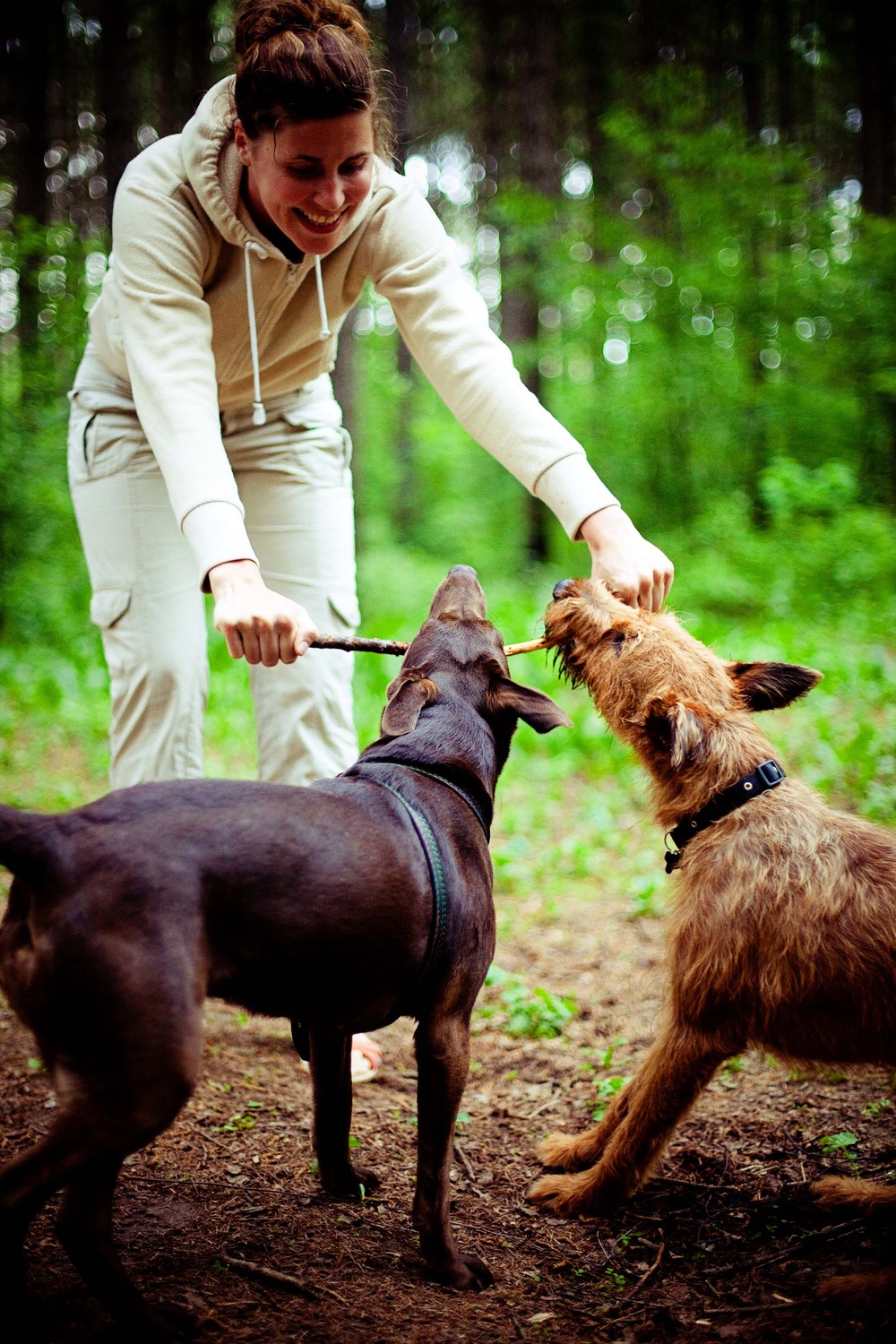Dogs