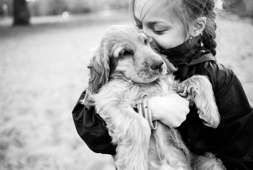 Dogs