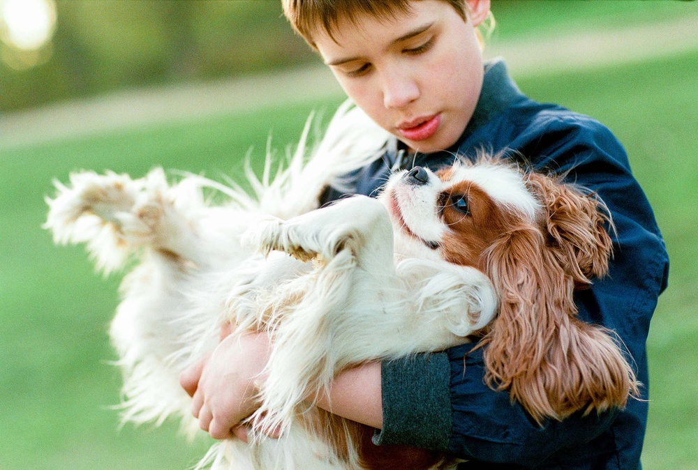 Dogs