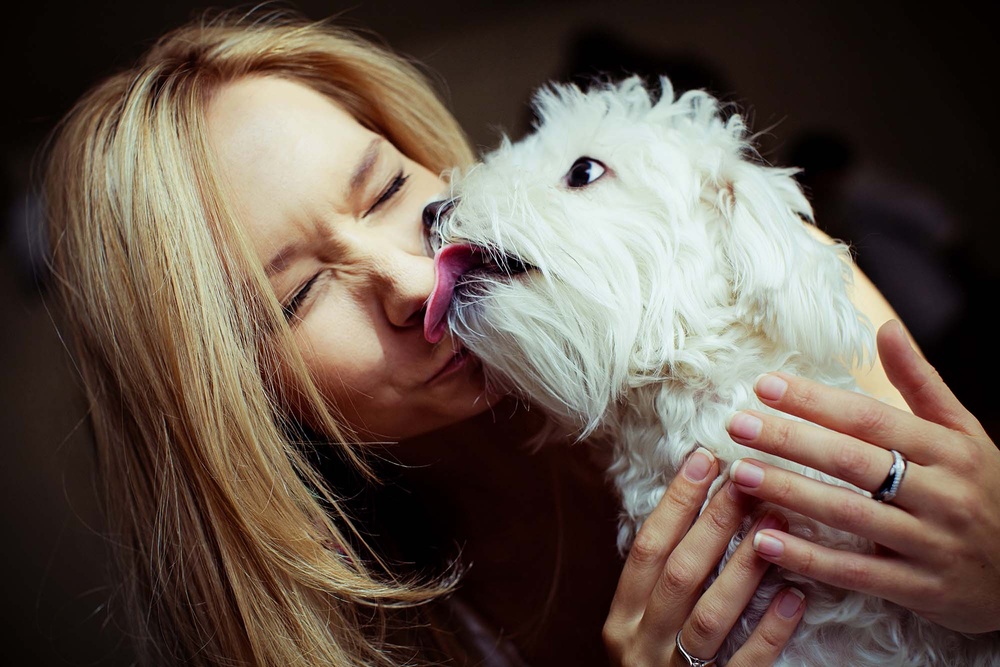 Dogs