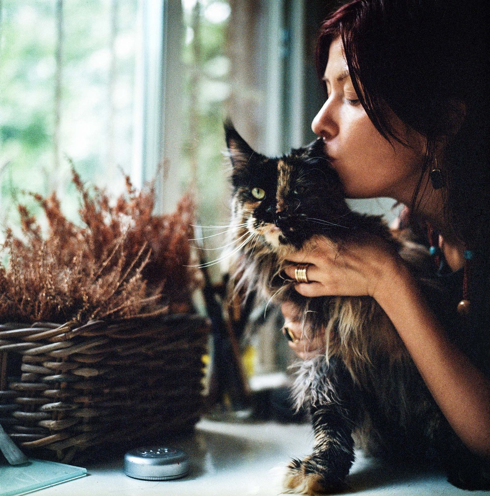 Cats