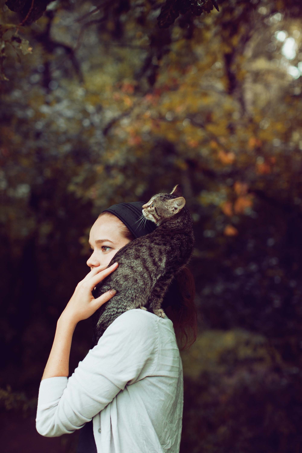 Cats