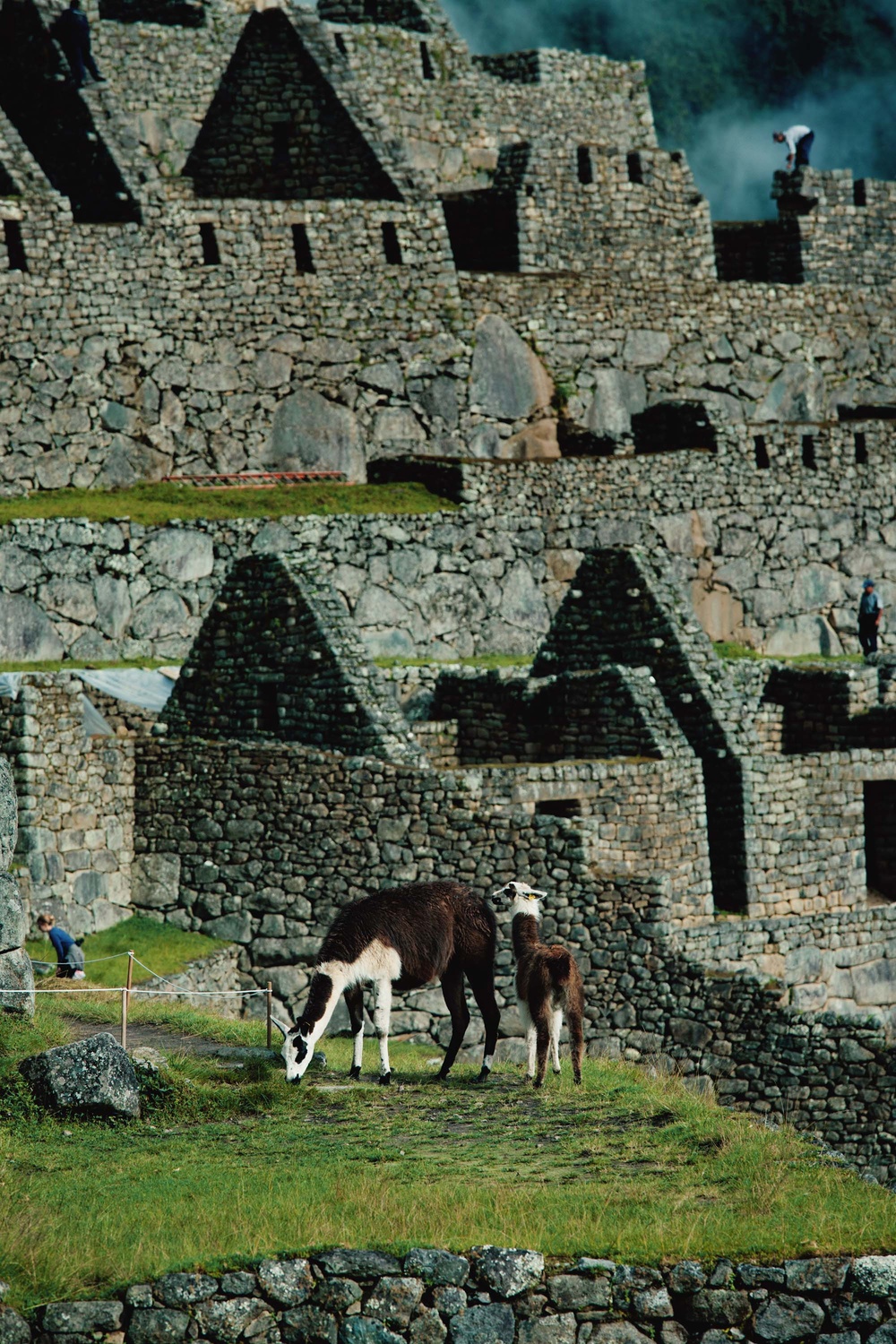 Peru