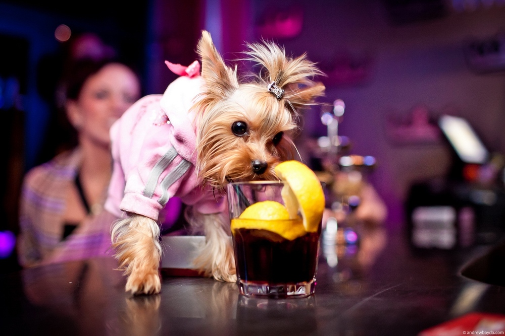 Parties & Events